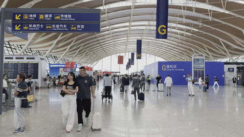 雙節(jié)同慶客流井噴，上海機(jī)場(chǎng)日均客流首破40萬大關(guān)折射出境游復(fù)蘇浪潮