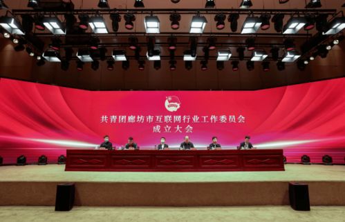 共青團廊坊市互聯網行業工作委員會正式成立，為本地企業網站建設注入青春動能